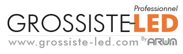 logo Grossiste LED